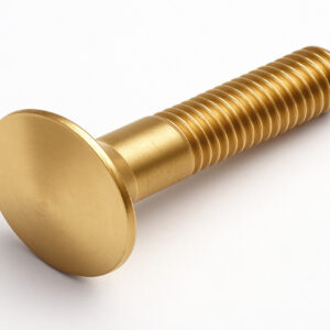 Brass Cup Square Neck Bolt